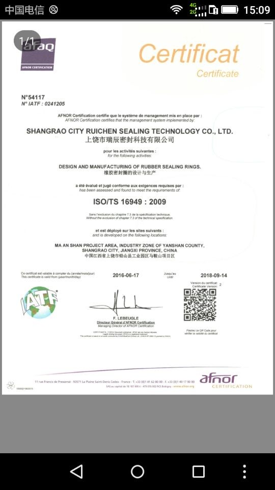 الصين Dongguan Ruichen Sealing Co., Ltd. الشهادات